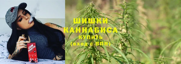 прущая мука Нея