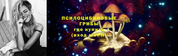 не бодяженный Нефтекумск