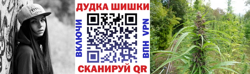 Шишки марихуана Amnesia  hydra как войти  Кяхта 